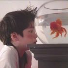 擱淺\\の魚
