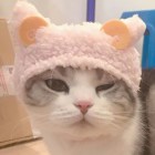 留念。