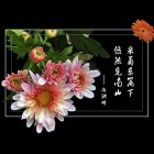 牵手看云