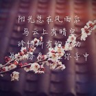 @放飞梦想