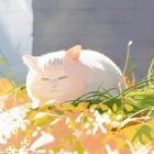Victor.晨曦