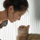 情若覆流年