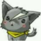 树上清风