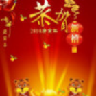 无痕岁月