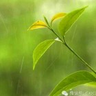 似水年华