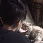 ℡粘豆包