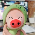 沁柳公子
