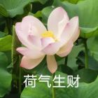 往事随风