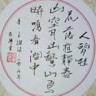 艾尔克的灯