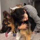 坠落…的天＆使