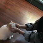十指紧扣╭指尖缠绕。