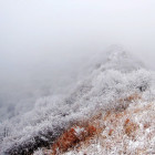 千山暮雪