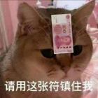 浅笑*