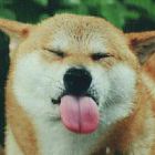 冰岚俊杰