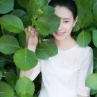 蕙纕揽芷