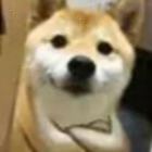 厛╰雨哭旳殸喑