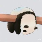 ㄑ离枯う