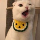 正义超人