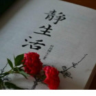 随风释然