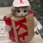 黄昏下的未来