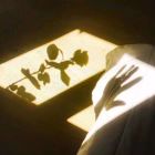 baby‖come　back゛