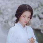 淡如菊
