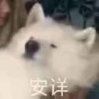 黎黎