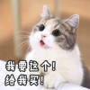 阿惹