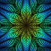 树欲静而风不止