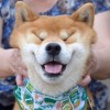 十月阳兰