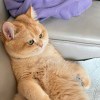 永远感激