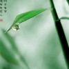 玉微凉