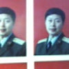 绿叶依旧