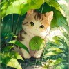 会飞的蒲公英