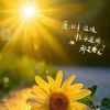 晨夕一笑