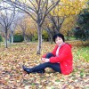 一帘幽梦